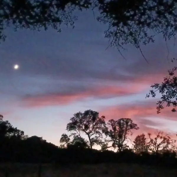 33831 Medford Road, Auberry, CA 93602