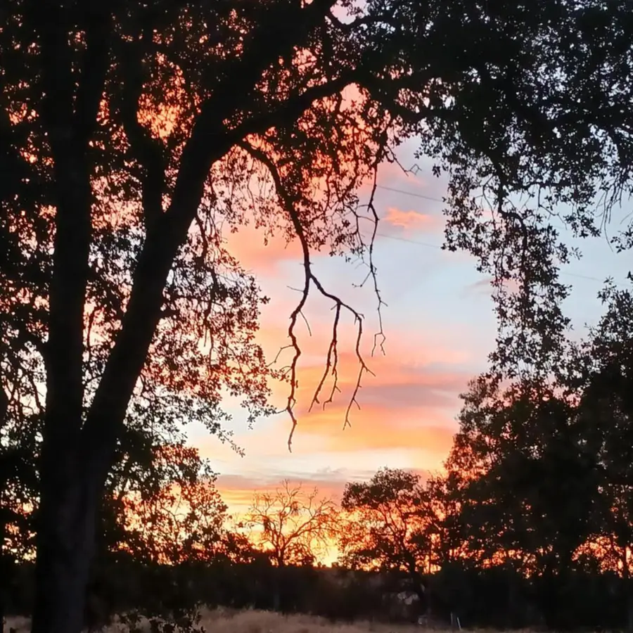 33831 Medford Road, Auberry, CA 93602 - #2