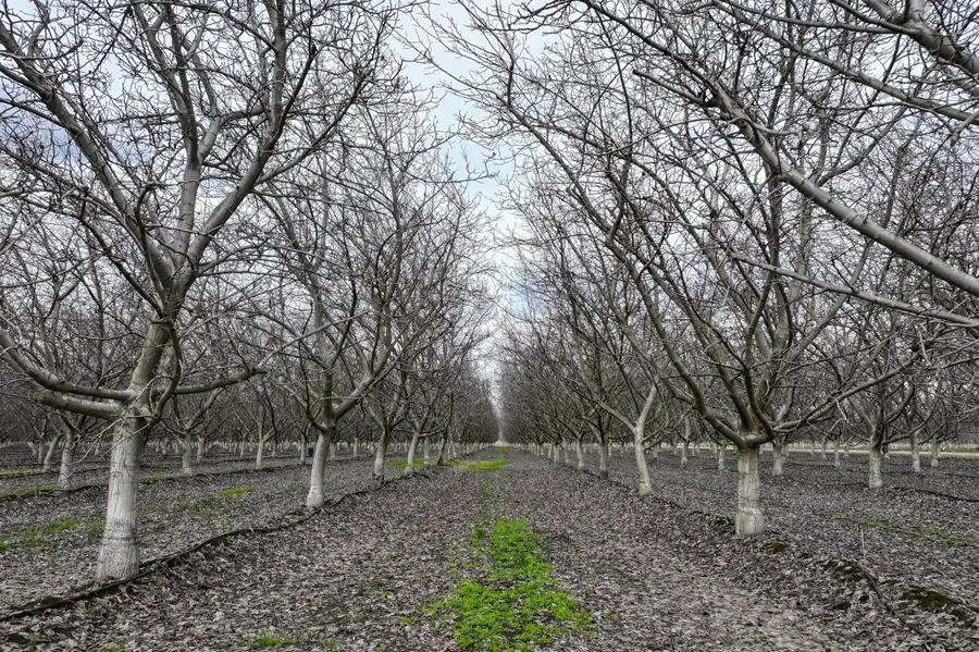 0 Unnamed Road, Visalia, CA 93292 - #3