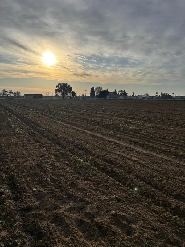 9449 S Mccall Avenue, Selma, CA 93662