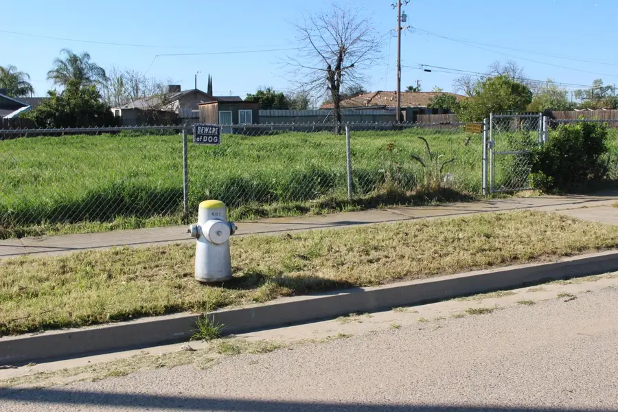 412 E Grove Avenue, Fresno, CA 93706 - #3