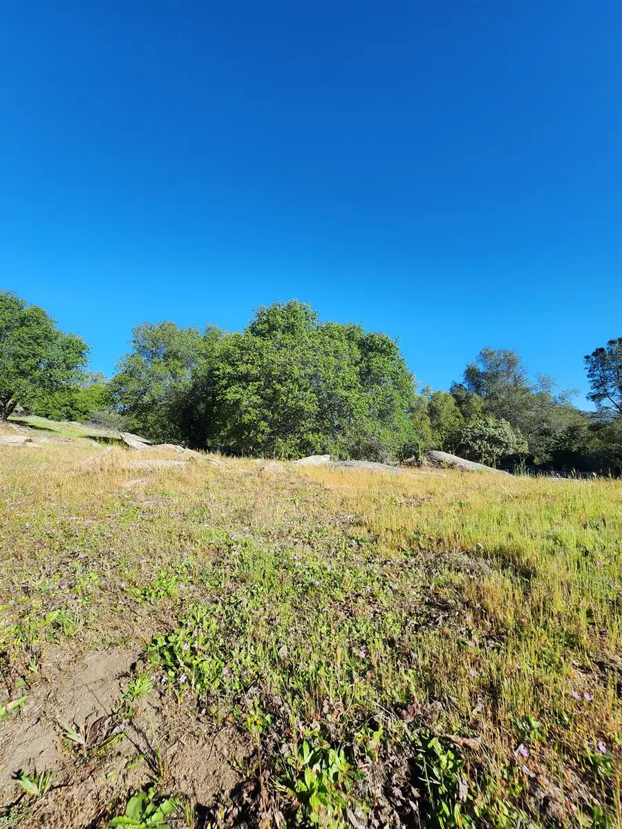 0 Rocky Ridge Road, Coarsegold, CA 93614 - #3