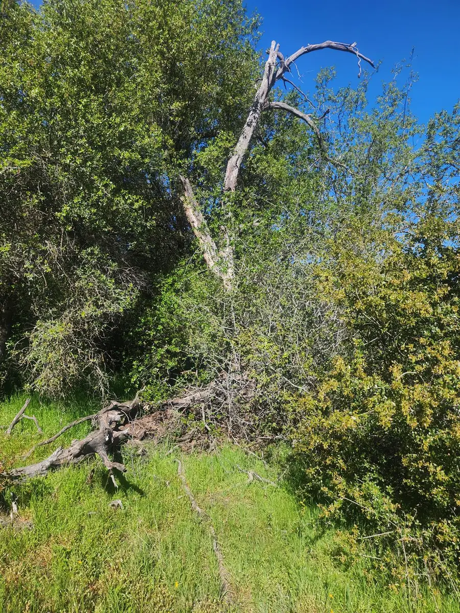 0 Rocky Ridge Road, Coarsegold, CA 93614 - #2