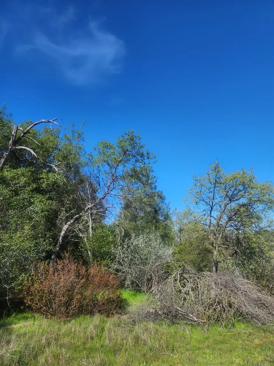 0 Rocky Ridge Road, Coarsegold, CA 93614 - #3