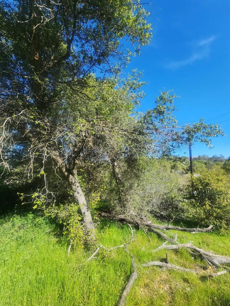 0 Wells Road, Coarsegold, CA 93614 - #2