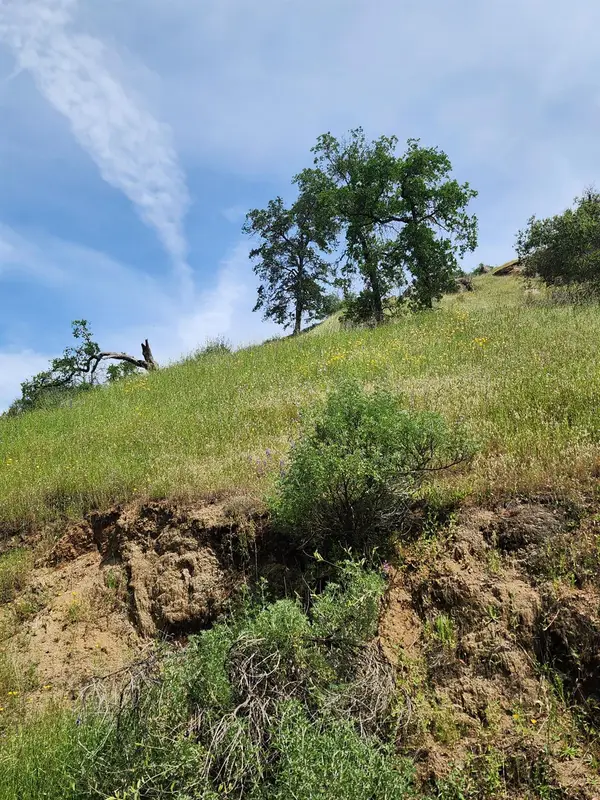 0 Baywood Lane, Yokuts Valley, CA 93675