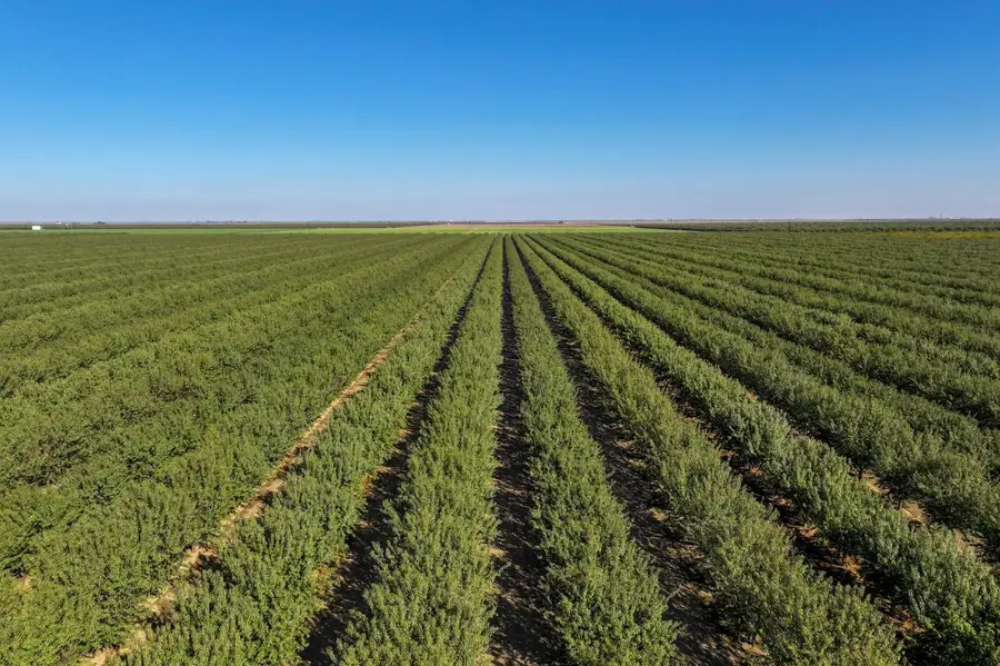 0 W Stutz Extension, Coalinga, CA 93210 - #2
