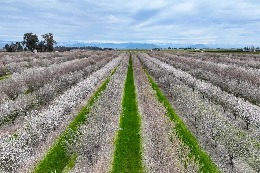 10847 E Belmont Avenue, Sanger, CA 93657 - #3