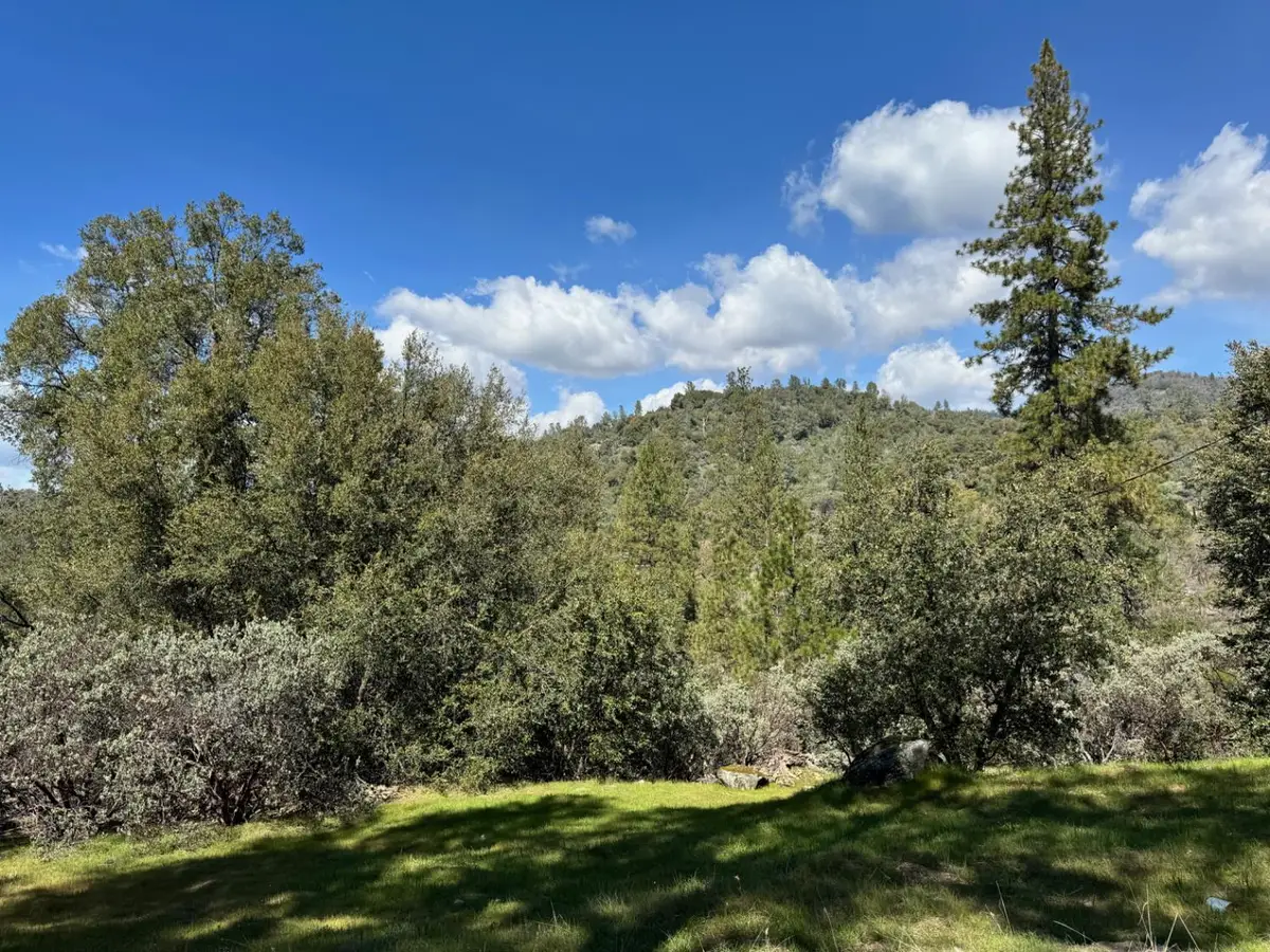 4994 Whitmore Drive, Mariposa, CA 95338 - #1