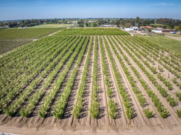 42682 Road 72, Dinuba, CA 93618