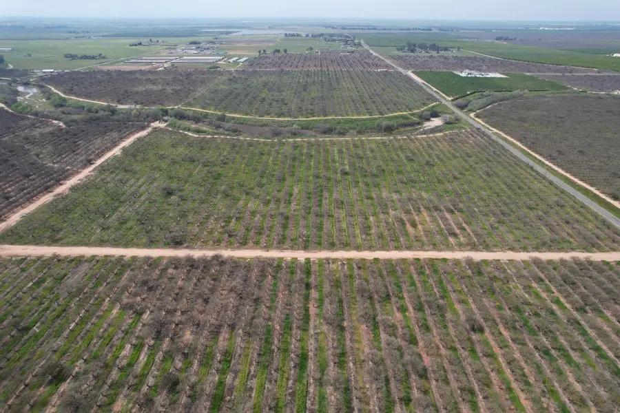 0 Ave 20 1/2, Madera, CA 93638 - #3