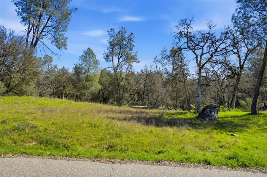 4260 Burl Drive, Mariposa, CA 95338 - #2
