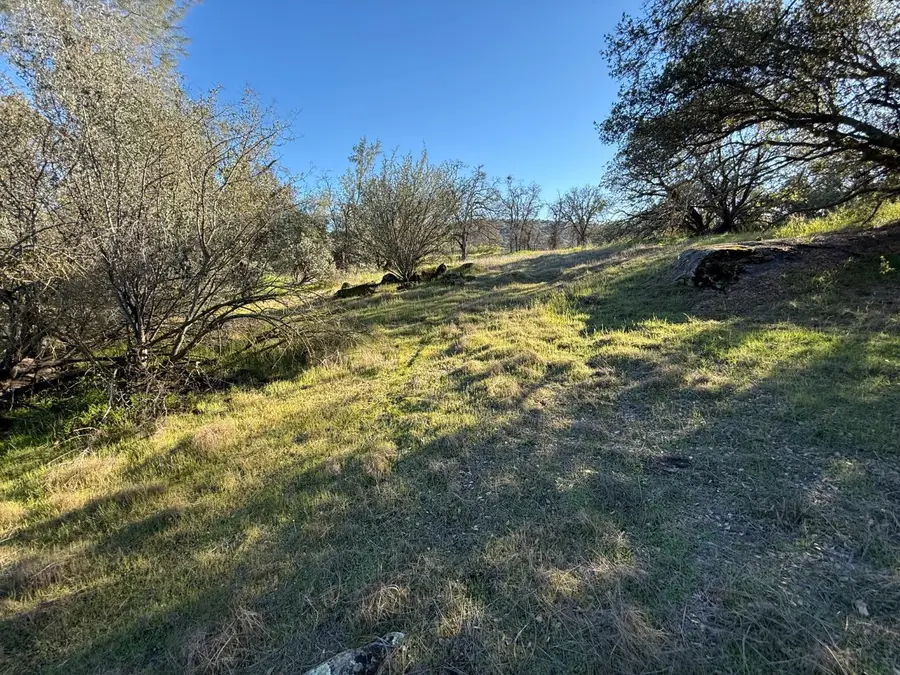 1631 Long Hollow Drive #1631, Coarsegold, CA 93614 - #3