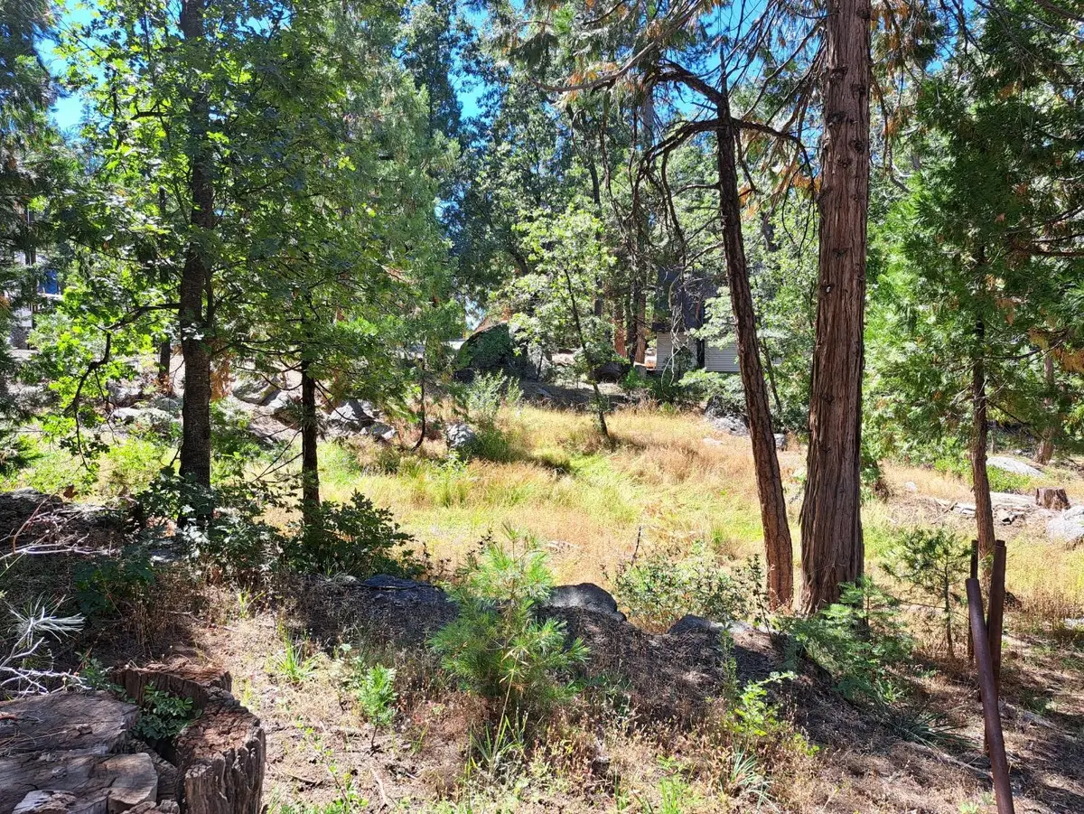 41290 Kokanee Lane, Shaver Lake, CA 93664 - #1