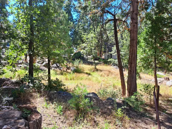 41290 Kokanee Lane, Shaver Lake, CA 93664