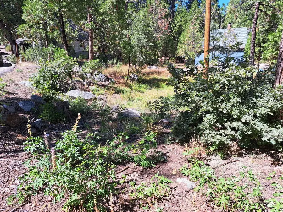 41290 Kokanee Lane, Shaver Lake, CA 93664 - #3