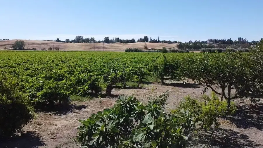 0 Friant Ave, Clovis, CA 93619 - #3