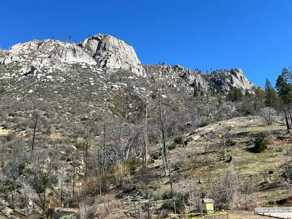 55161 Jungletown Lane, Big Creek, CA 93605