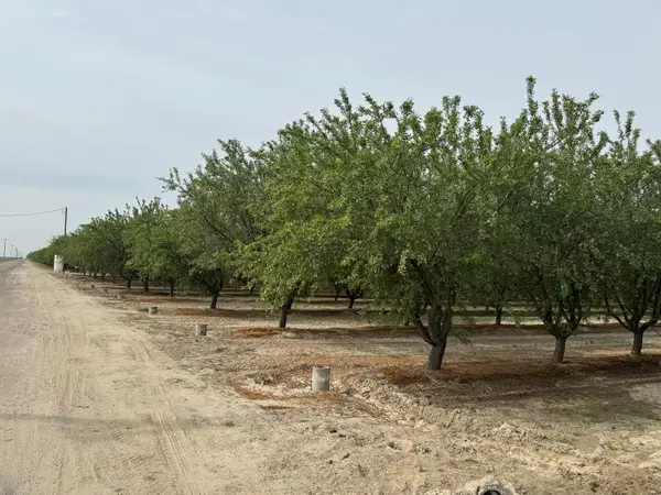 9495 W Kamm Avenue, Caruthers, CA 93609