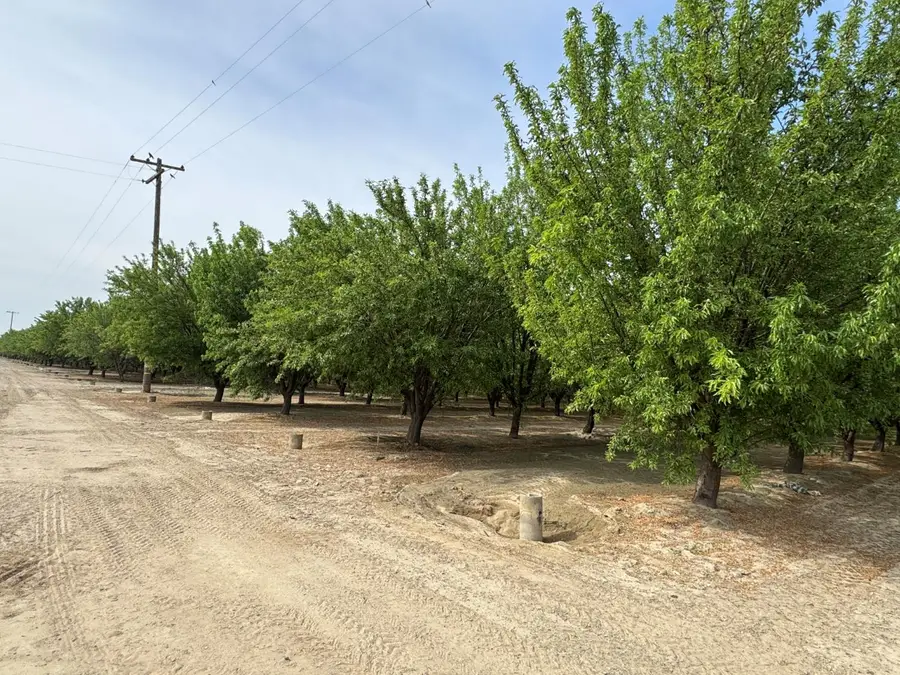 9495 W Kamm Avenue, Caruthers, CA 93609 - #3