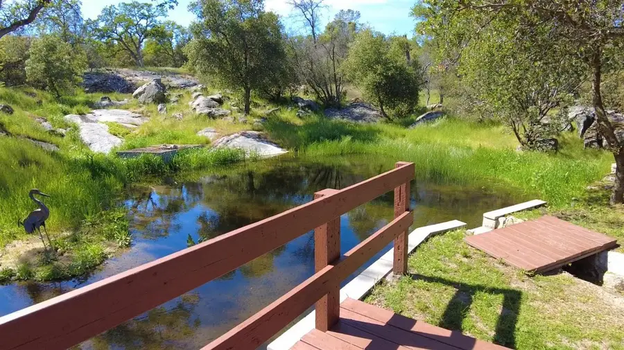 44755 Savage Road, Coarsegold, CA 93614 - #2