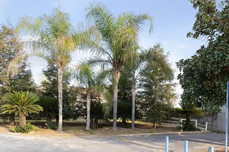 12265 E Dinuba Avenue, Selma, CA 93662 - #2