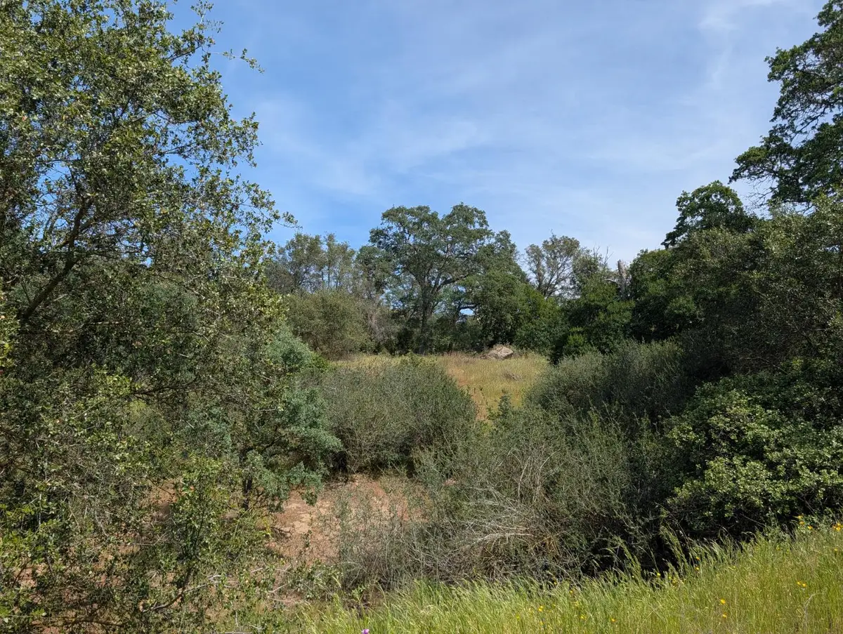 660 Willowood Lane, Yokuts Valley, CA 93675 - #1