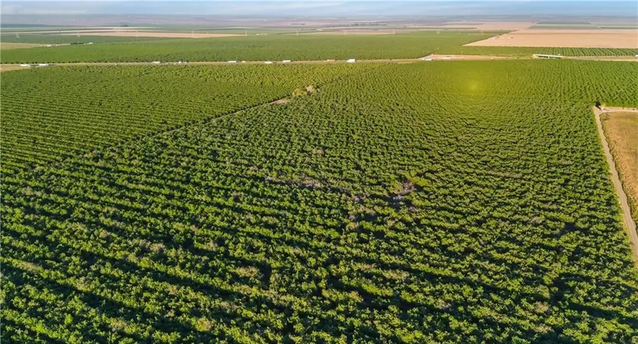 1 Shields, Firebaugh, CA 93622 - #3