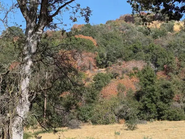 735 Bearclover Lane, Yokuts Valley, CA 93675