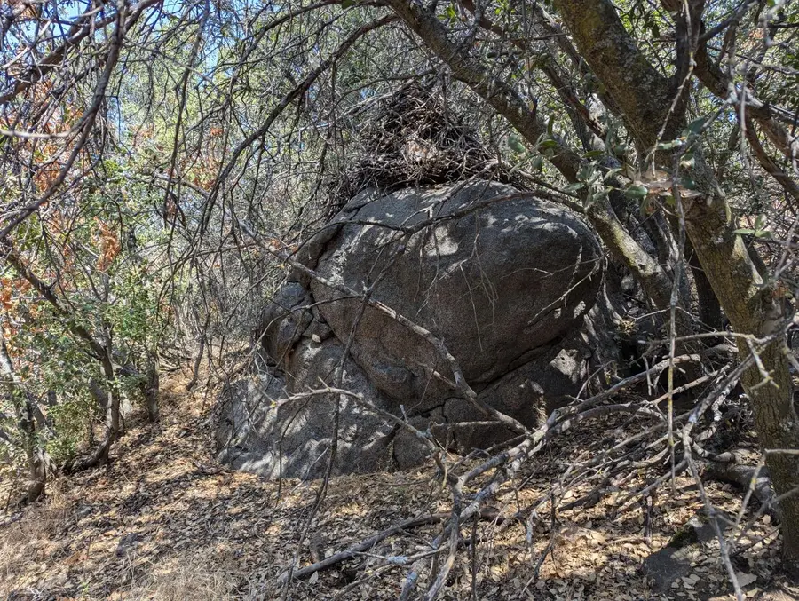 735 Bearclover Lane, Yokuts Valley, CA 93675 - #3