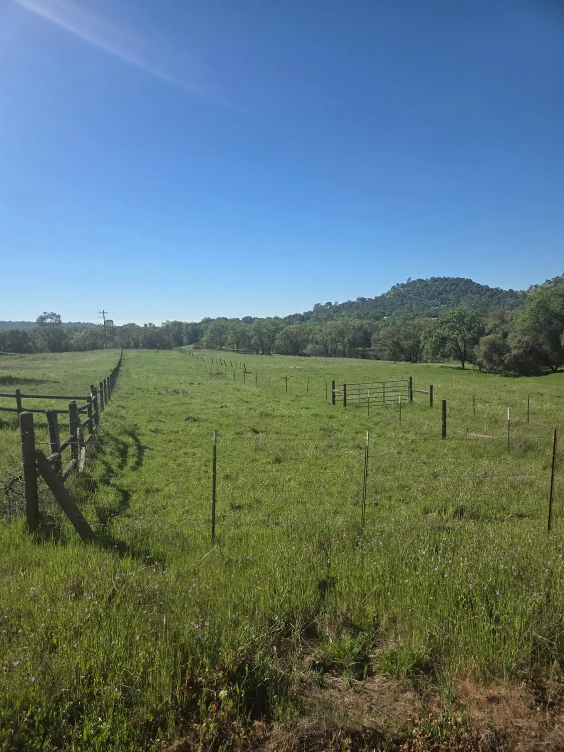 32951 Frazier Road #2, Auberry, CA 93602 - #1