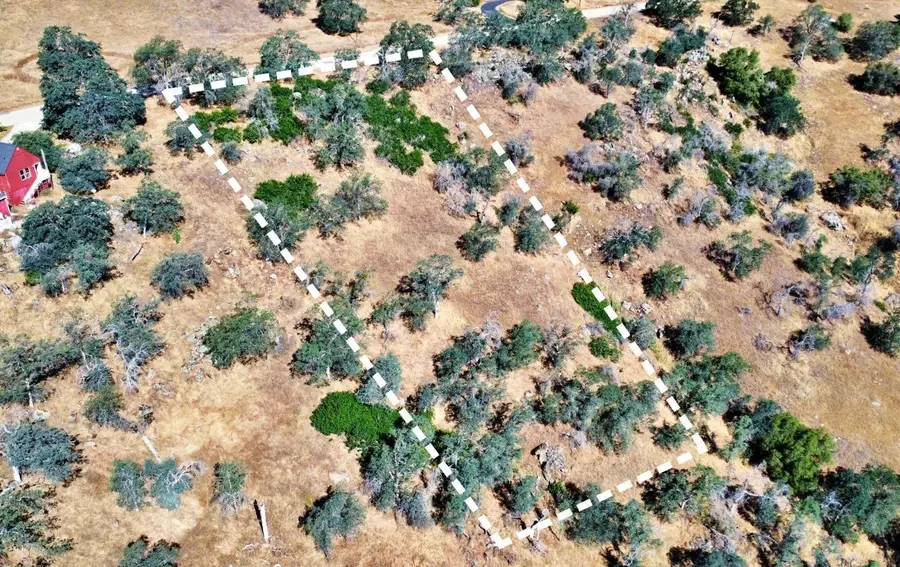 391 Sunflower Lane, Yokuts Valley, CA 93675 - #2