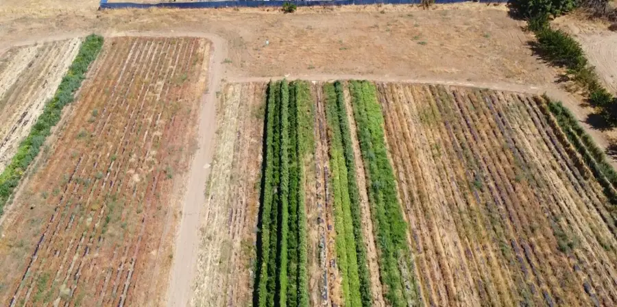 3228 W Clinton Avenue, Fresno, CA 93722 - #2