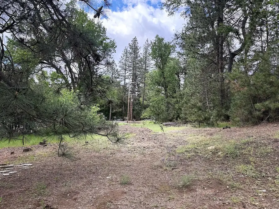 65 Harris Road, Mariposa, CA 95338 - #2