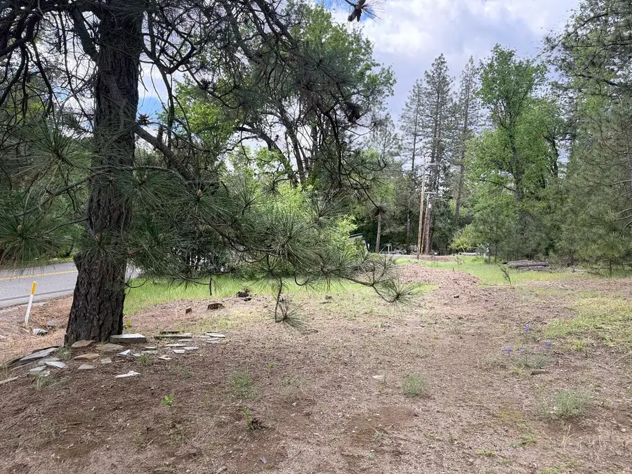 65 Harris Road, Mariposa, CA 95338 - #3