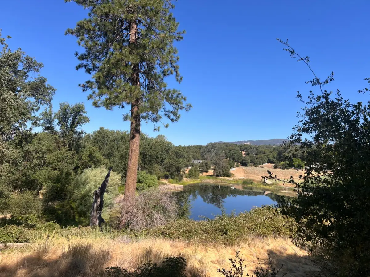16 Lulniu Lane, Ahwahnee, CA 93601 - #1