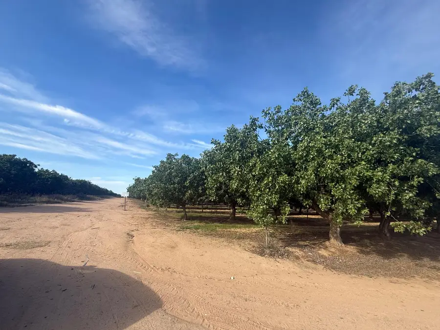 0 Avenue 21, Madera, CA 93638 - #2