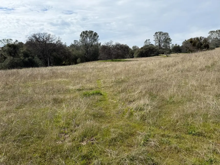 31 Rd 416, Coarsegold, CA 93614 - #2
