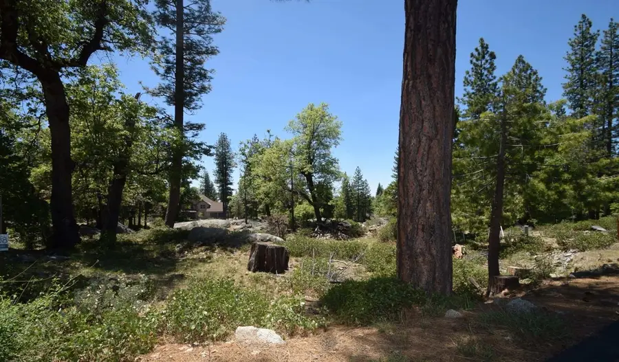 42844 Garnet Lane #lot38, Shaver Lake, CA 93664 - #3