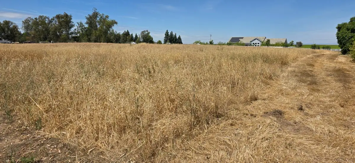 49140 Dublin Drive, Madera, CA 93636 - #1