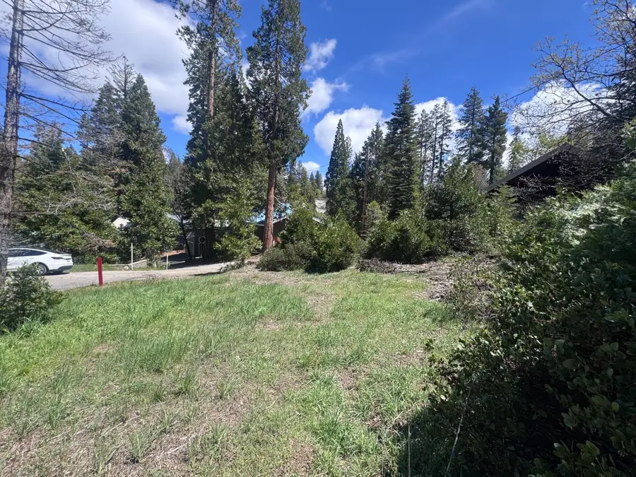 42156 Digger Avenue, Shaver Lake, CA 93664 - #2