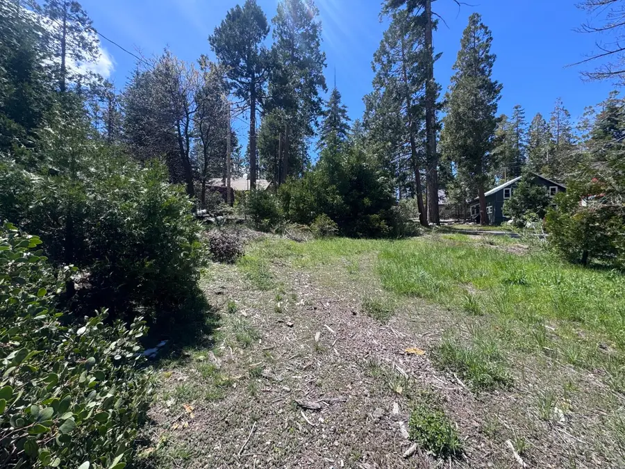 42156 Digger Avenue, Shaver Lake, CA 93664 - #3