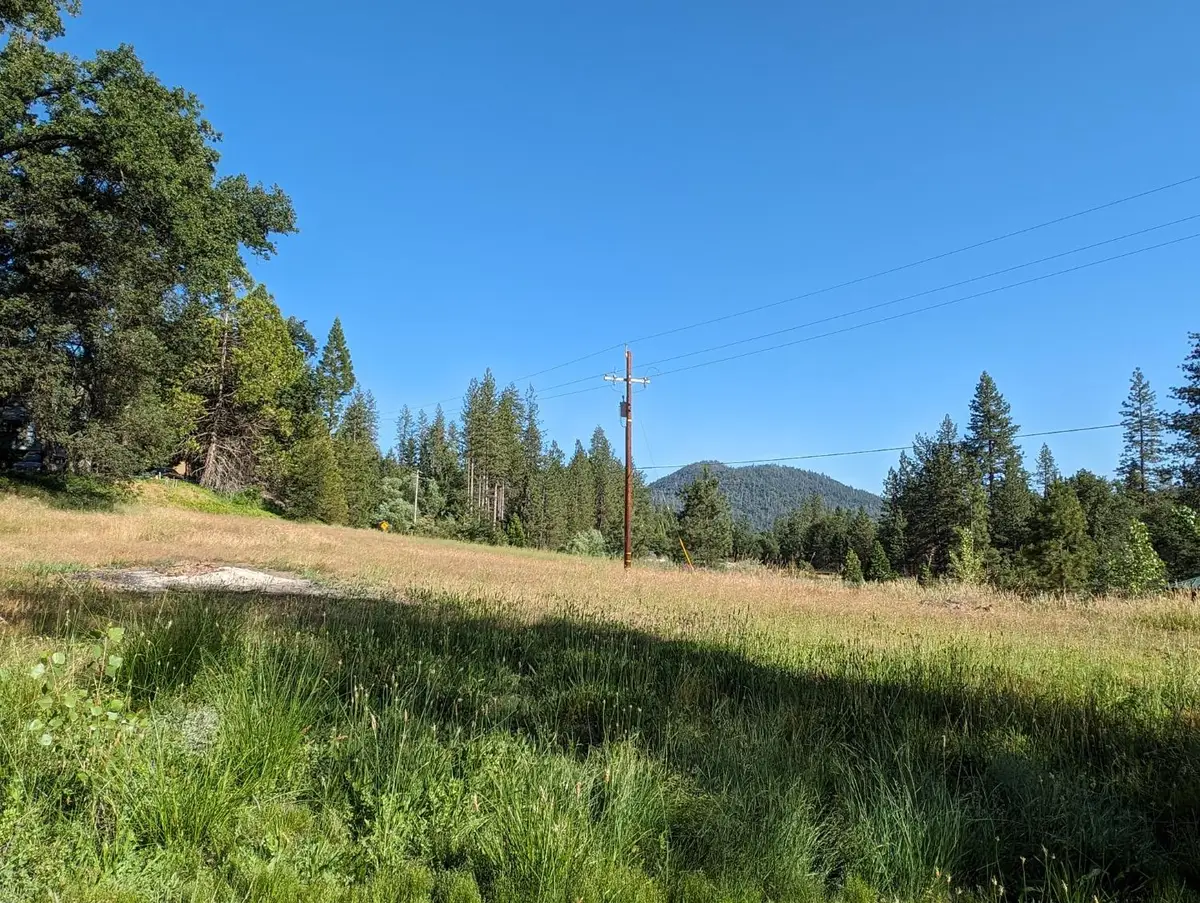 1 Road 274, Bass Lake, CA 93604 - #1