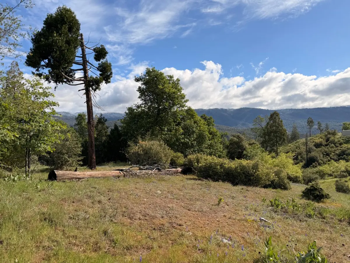 29 Manzanita Drive, Oakhurst, CA 93644 - #1