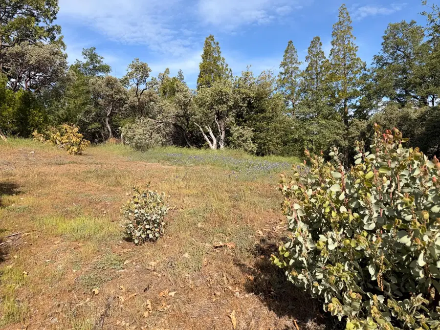 29 Manzanita Drive, Oakhurst, CA 93644 - #3