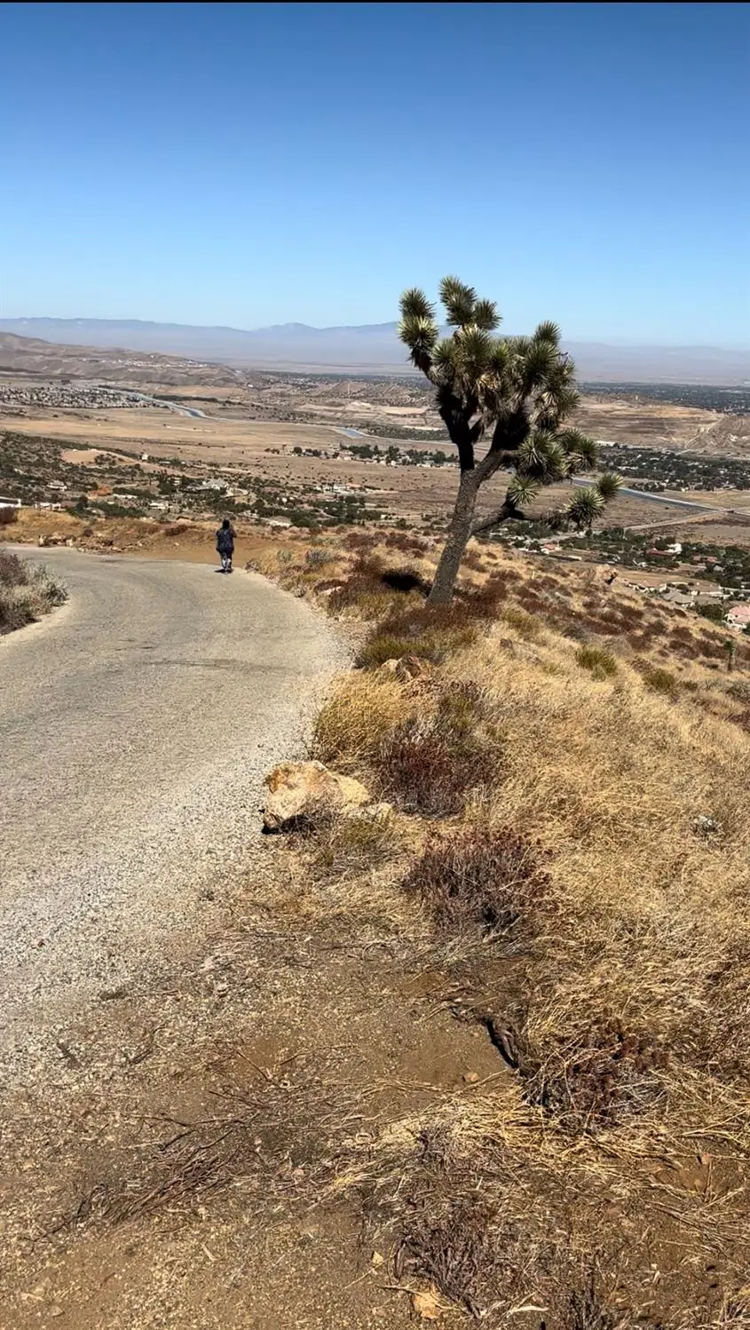 305401 Lakeview, South Antelope Valley, CA 93511 - #2