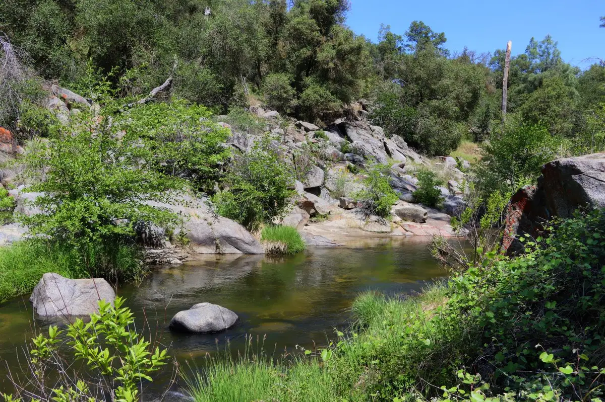 80 Polk Ranch Road, Coarsegold, CA 93614 - #1