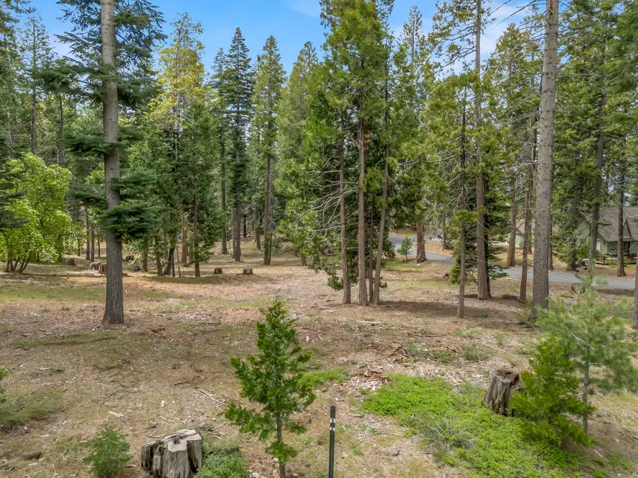 39076 Ridge Road, Shaver Lake, CA 93664 - #3