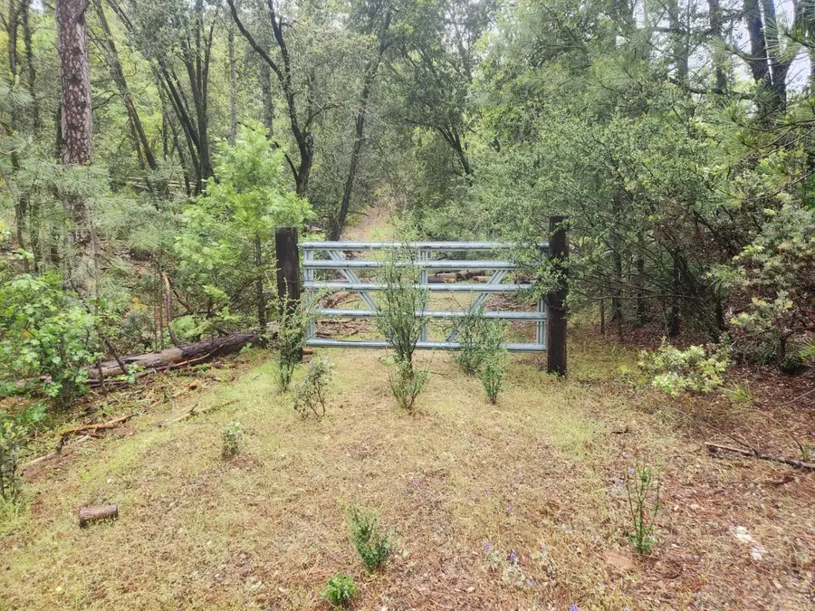 5135 Yosemite Oaks Drive, Mariposa, CA 95338 - #3