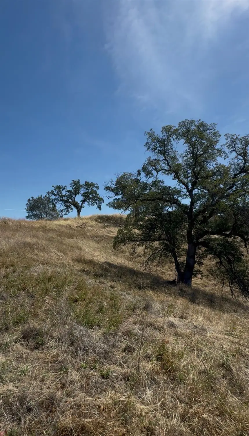 1578 Lilley Mountain, Coarsegold, CA 93614 - #2